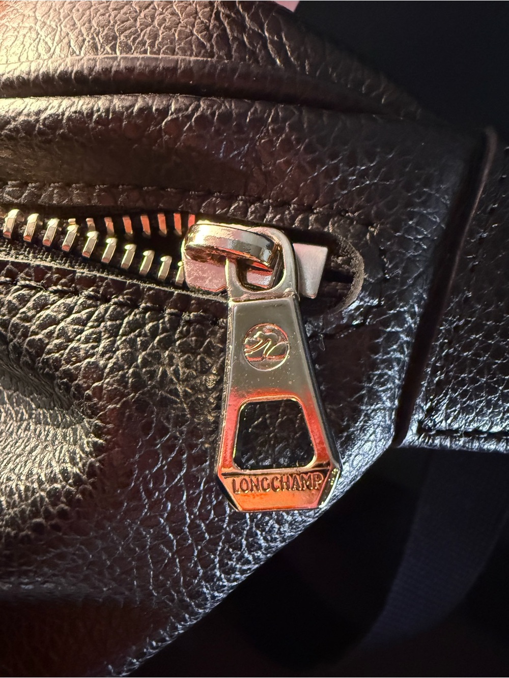 Longchamp Black Leather Le Foulonné M Crossbody Belt Bag - Picture 4 of 5